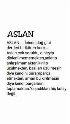 aslan burcu özellikleri nedir aslan burcu özellikleri nedir